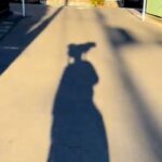 犬と散歩をしている男性→『影』の様子がおかしく…思わず二度見する『移動方法』が10万再生「ピカチュウのポジションで草」「写真撮りたい」(ブログ)