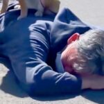 犬のリードが手から外れ、父が見事『ダイビングキャッチした』と思ったら…想定外な『まさかの光景』が29万再生「嬉しそうで草」「安全地帯ｗ」(ブログ)