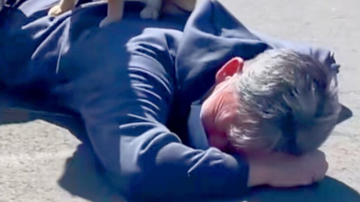 犬のリードが手から外れ、父が見事『ダイビングキャッチした』と思ったら…想定外な『まさかの光景』が29万再生「嬉しそうで草」「安全地帯ｗ」(ブログ)