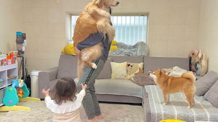 大型犬を抱っこしたら、1歳の女の子と柴犬が『羨ましい』と言って…あまりにも素敵な『愛に溢れたやり取り』が18万再生「平和すぎ」「仲良し」(ブログ)
