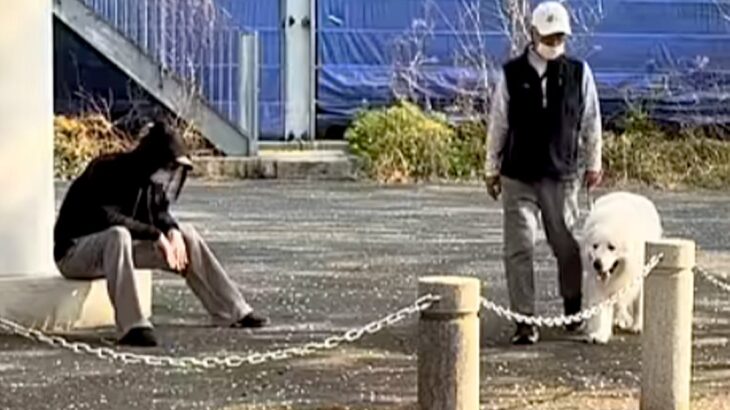 散歩中、おじいちゃんとおばあちゃんを発見し喜ぶ超大型犬→パパの場合は…あまりにも『無慈悲な光景』が197万再生「愛が空回りしてるの草」(ブログ)
