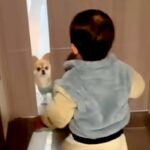 1歳の男の子と半日ぶりに再会した犬→ドアを開けた瞬間、嬉しくなりすぎて…尊すぎる『喜び方』が134万再生「嬉しいね」「ピョンピョン」(ブログ)