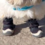 工事現場の前を通った犬→作業員が『ひつじのショーン…』とつぶやいて…思わず納得する光景が15万表示「なんとなくわかるｗｗ」「感性が素敵」(ブログ)