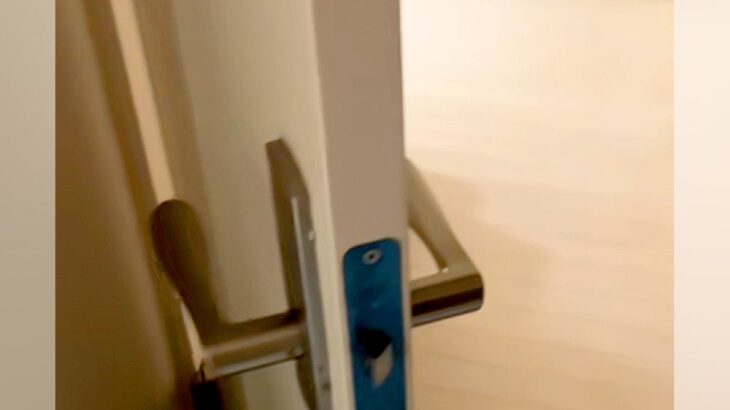 深夜1時『リビングに大型犬がいないな』と思って探したら、玄関で…まさかの『酔っ払いのような光景』に反響「冷たいのかな」「可愛いｗ」(ブログ)