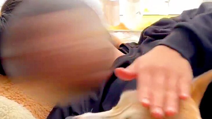 『お姉ちゃん、撫でて』とお願いする犬→試しに『エアーなでなで』をした結果…予想外の展開で見せた『困惑顔』に2万いいね「フリーズしてるｗ」(ブログ)