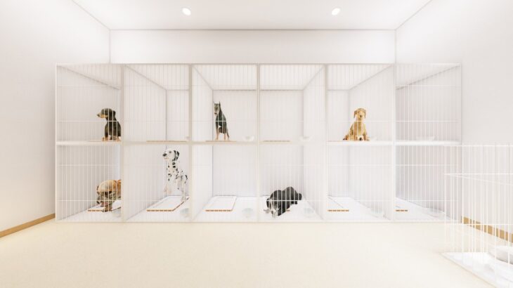 犬を『ペットホテルに何日も預ける』のはダメなこと？考えられるリスクとは(ブログ)