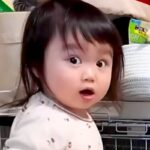 2歳の女の子が『犬にこっそりおやつをあげようとした』結果→バレてしまい、注意されると…理不尽な光景が14万再生「ごまかしてるの草」(ブログ)