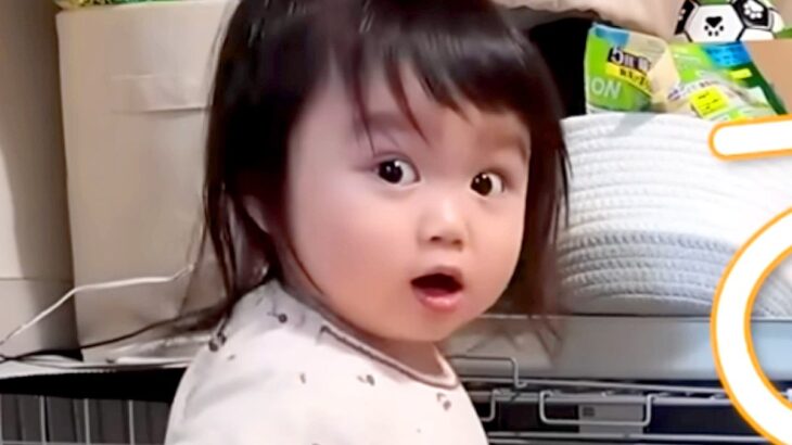 2歳の女の子が『犬にこっそりおやつをあげようとした』結果→バレてしまい、注意されると…理不尽な光景が14万再生「ごまかしてるの草」(ブログ)