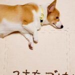ご飯を食べない犬→心配した娘が『一工夫』してくれて…愛情が詰まった『フード文字』に感動の声「泣けてくる」「なんて優しい娘さんなの…」(ブログ)