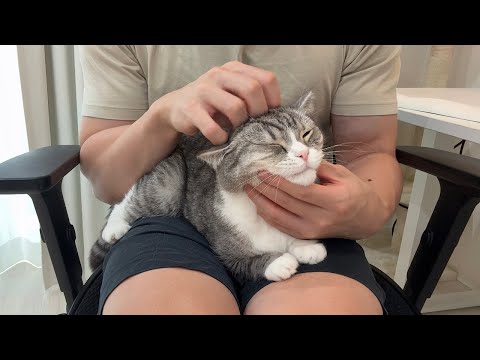 甘えてきたもっちゃんを揉みくちゃにマッサージしてみましたw(YouTube)