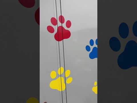 引越しセンターです！(YouTube)