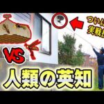 蜂の脅威を排除する為にあの兵器を実戦投入したら、まさかの事態が‥😱【DIYでハチの巣調査、駆除、対策の方法🐝】(YouTube)