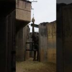 アフリカゾウの高所フィーダー（ヘイネット）：多摩動物公園　#多摩動物公園 #アフリカゾウ #ゾウ #フィーダー #給餌器 #エンリッチメント #動物園(YouTube)