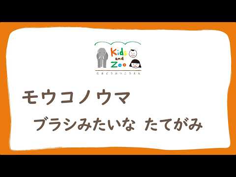 モウコウノウマ　ブラシみたいな たてがみ(YouTube)