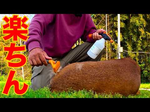 消臭スプレーが楽ちんになるもの見つけました！(YouTube)