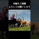 仁義なき戦い(YouTube)