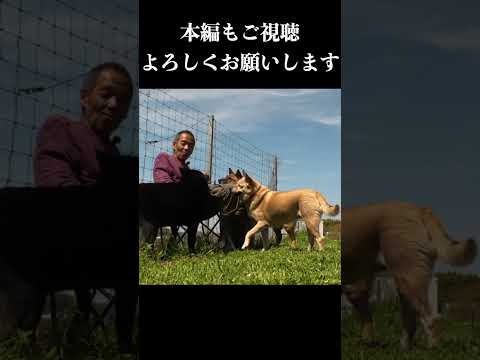 仁義なき戦い(YouTube)