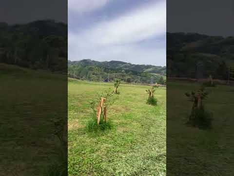 クタクタ(YouTube)