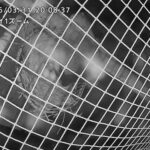 トキのひなが誕生しました！：多摩動物公園(YouTube)