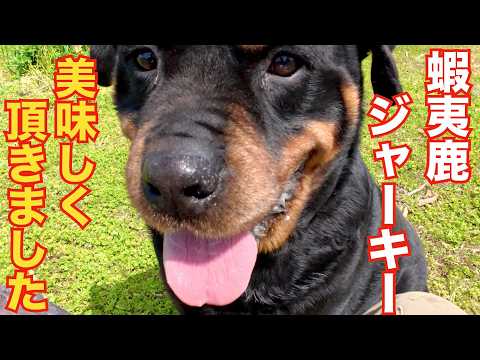 業務用ジャーキーを一気喰い！(YouTube)