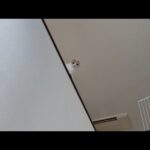 自分で降りれないフリして「助けて」と甘えてくる猫がこうなってましたw(YouTube)