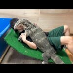 ぐわぁぉぉぉ、制御不能(YouTube)