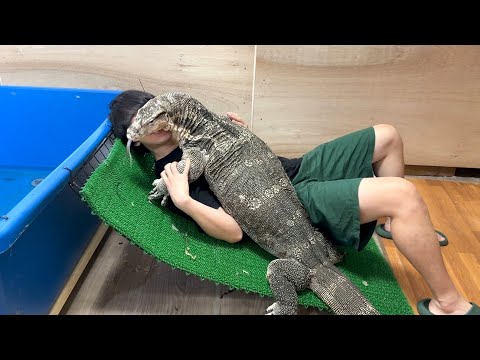 ぐわぁぉぉぉ、制御不能(YouTube)