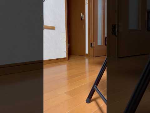 誰が来るでしょう？(YouTube)