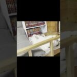 はしゃぎ過ぎました(YouTube)