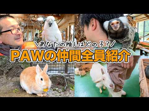 【GW前必見】PAWをもっと楽しめる！動物たちの名前や性格を全員紹介してみた！(YouTube)