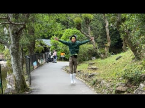 色んな樹木とって動物にプレゼントしよう委員会🎁(YouTube)