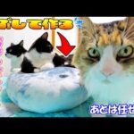 猫が自分で作る猫ベッド🐈あずさくはしばらく離れるけど、あとはボス吉がしっかり仕上げるそうですｗ(YouTube)
