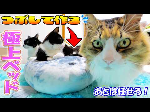 猫が自分で作る猫ベッド🐈あずさくはしばらく離れるけど、あとはボス吉がしっかり仕上げるそうですｗ(YouTube)