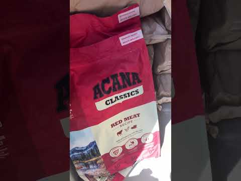 権蔵くん喜びます！(YouTube)