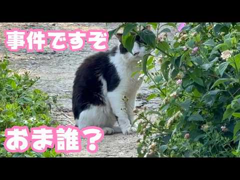 事件です！  おま誰？  カワユス動画もいっぱいです  2026 04 10 2(YouTube)