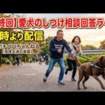 【最終回】愛犬のしつけ相談回答ライブ18時より配信(YouTube)