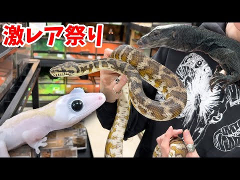 【一点物大集合】爬虫類イベントで販売されている生体が激レアすぎてヤバい！！【第2回アニマルシェ】(YouTube)