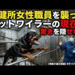 保健所女性職員を襲ったロットワイラーの現在に驚きを隠せない(YouTube)