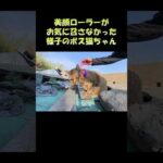 美顔ローラーがお気に召さなかった様子のボス猫ちゃん #猫 #ねこ #cat(YouTube)