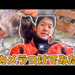 【飼育員のお仕事】ボディカメラ企画第3弾！担当フリーになった山本に密着！(YouTube)