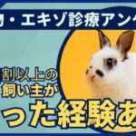 小動物・エキゾペットの動物病院受診実態調査(ブログ)