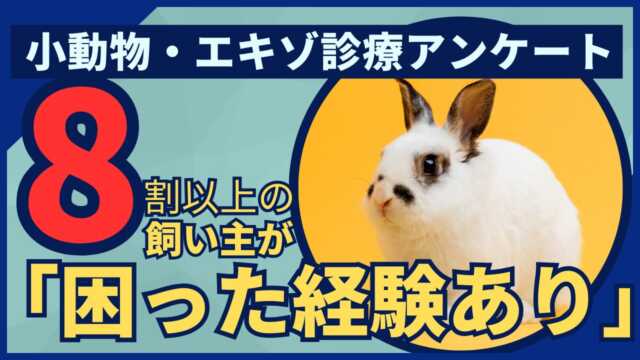 小動物・エキゾペットの動物病院受診実態調査(ブログ)