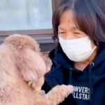大好きなおばあちゃんとお別れをする犬→帰り際、後ろ姿を見たら…切なすぎる『バイバイの瞬間』が8万再生「大好きが伝わる」「離れたくないね」(ブログ)