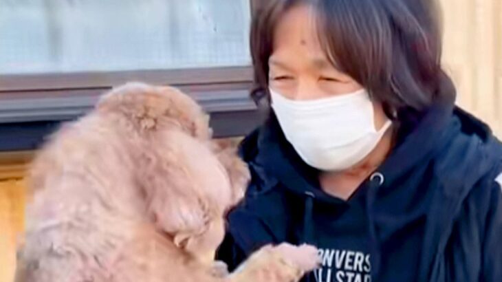 大好きなおばあちゃんとお別れをする犬→帰り際、後ろ姿を見たら…切なすぎる『バイバイの瞬間』が8万再生「大好きが伝わる」「離れたくないね」(ブログ)