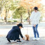 『モラルがない』と思われる犬の飼い主の行動５選　周りから軽蔑される絶対NG行為とは(ブログ)