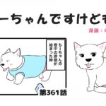 ちーちゃんですけどもっ【第361話】「元気すぎる徘徊」(ブログ)