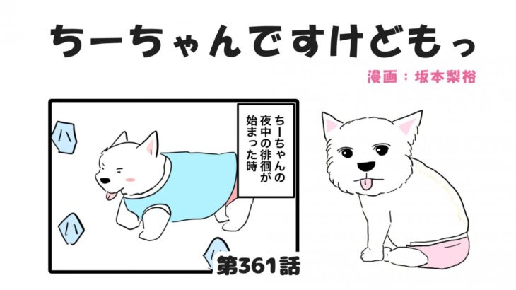 ちーちゃんですけどもっ【第361話】「元気すぎる徘徊」(ブログ)