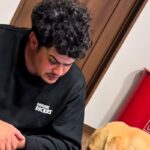 おしっこを失敗してしまった大型犬→自らパパに謝りに行って…思った以上の『反省の態度と表情』が9万再生「人間と変わらんｗ」「感情豊か」(ブログ)