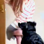『早くデートに行きたい娘』VS『絶対に行かせたくない大型犬』微笑ましい攻防戦が17万再生「どちらも可愛い」「連れて行ってあげてｗ」と反響(ブログ)