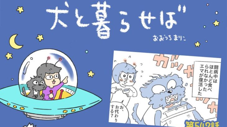 犬と暮らせば【第542話】「エマの回復」(ブログ)